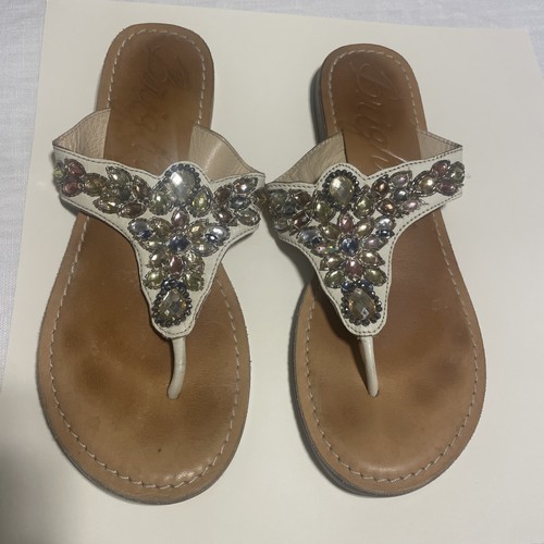 Brighton ara jewel - ara,